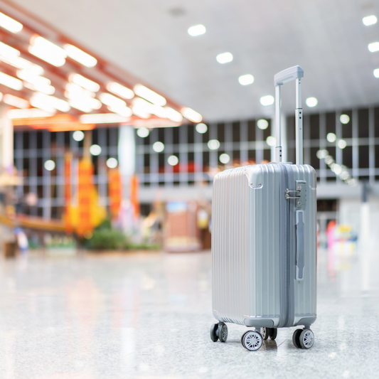 Lost Luggage Claim Form – Formulario de Reclamación de Equipaje Perdido